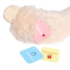 Мягкая игрушка «Ленивец», в комплекте 3 открытки, цвет бежевый, 60 см - Фото 6