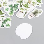 Наклейки для творчества "Комнатные растения" набор 45 шт 4,4х4,4х1,1 см - фото 21731411