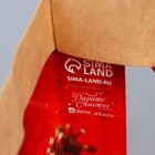 Пакет крафтовый с пластиковым окном «Новогодний подарок», 24 х 20 х 11см, Новый год (комплект 2 шт) - фото 22918728