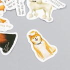 Наклейки для творчества "Собачья жизнь" набор 46 шт 4,4х4,4х1,1 см - Фото 2