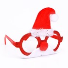 Карнавальные очки «Дед Мороз» - фото 296625046