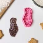 Форма для печенья «Зайка с леденцом», вырубка, штамп, пластик, розовая - Фото 1