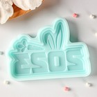 Молд для заливки «2023 Ушки», 11×7.7×1 см, силикон, бирюзовая - Фото 3