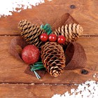 Новогодняя композиция «Шишки, ягодки» МИКС - фото 300995525