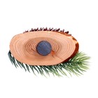 Магнит «Лесная шишка» - фото 21732741