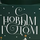 Пакет влагостойкий для цветов «Новогоднее чудо», 20 х 12 х 20 см - Фото 5