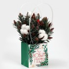 Пакет влагостойкий для цветов «Freeze», 11,5 х 12 х 8 см, Новый год - фото 319017434