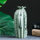 Подставка для благовоний TAKE IT EASY «Кактус», набор благовоний конусы, стелющийся дым, 14×8×19 см - Фото 4