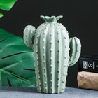 Подставка для благовоний TAKE IT EASY «Кактус», набор благовоний конусы, стелющийся дым, 14×8×19 см - Фото 5