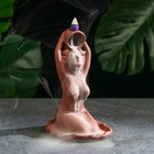 Подставка для благовоний TAKE IT EASY «Омовение Джии», набор благовоний конусы, стелющийся дым, 18×13 см - Фото 1