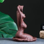 Подставка для благовоний TAKE IT EASY «Омовение Джии», набор благовоний конусы, стелющийся дым, 18×13 см - Фото 6