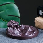 Подставка для благовоний TAKE IT EASY «Горный дракон», набор благовоний конусы, стелющийся дым, 12×5 см - Фото 7