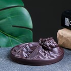 Подставка для благовоний TAKE IT EASY «Горный дракон», набор благовоний конусы, стелющийся дым, 12×5 см - Фото 8