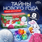 Набор для опытов «Тайны Нового года», зайчик - Фото 1
