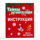 Набор для опытов «Тайны Нового года», зайчик - Фото 11