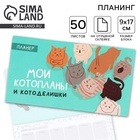 Планер с отрывными листами «Котопланы», 50 листов - Фото 1