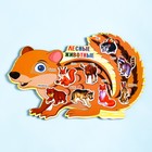 Пазлы деревянные "Лесные животные", 9 деталей, 28.5х19 см - фото 804986691