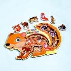 Пазлы деревянные "Лесные животные", 9 деталей, 28.5х19 см - фото 804986692