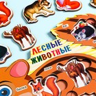 Пазлы деревянные "Лесные животные", 9 деталей, 28.5х19 см - фото 804986693