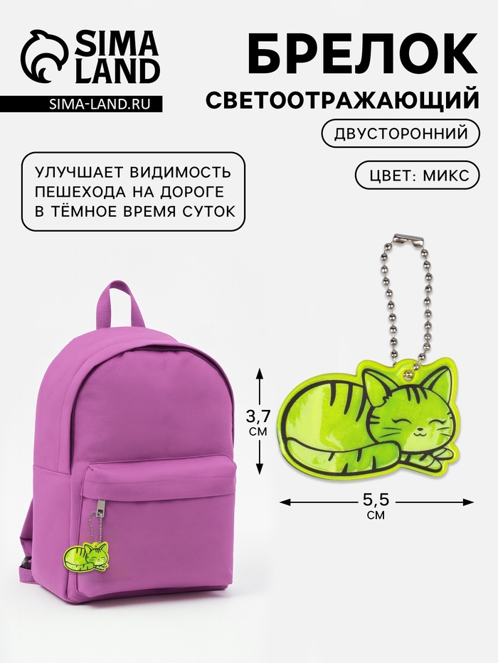 Светоотражающий элемент «Кошечка», двусторонний, 5.5×3.7 см, МИКС