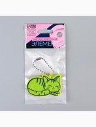 Светоотражающий элемент «Кошечка», двусторонний, 5.5×3.7 см, МИКС - Фото 4