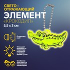 Светоотражающий элемент «Крокодил», двусторонний, 5,5 × 3 см, цвет МИКС - фото 319019435