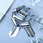 Бант-шар №5 полоска, серебро - Фото 1