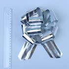 Бант-шар №5 полоска, серебро - Фото 2