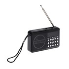Радиоприемник Telefunken TF-1667, FM+ 87.5 МГц - 108 МГц, MP3, USB, microSD,800 мАч, чёрный - фото 2411811