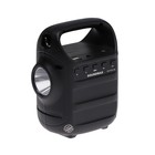 Портативная колонка Soundmax SM-PS5010B, 8Вт, 1200мАч, FM, BT 5.0, microSD, подсветка,фонарь - фото 51322558 Портативная колонка Soundmax SM-PS5010B, 8Вт, 1200мАч, FM, BT 5.0, microSD, подсветка,фонарь - фото 51322558