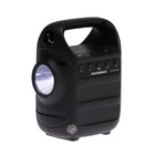 Портативная колонка Soundmax SM-PS5010B, 8Вт, 1200мАч, FM, BT 5.0, microSD, подсветка,фонарь - фото 51322559 Портативная колонка Soundmax SM-PS5010B, 8Вт, 1200мАч, FM, BT 5.0, microSD, подсветка,фонарь - фото 51322559