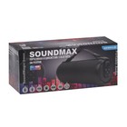 Портативная колонка Soundmax SM-PS5020B, 16Вт, 1500мАч, FM, BT, microSD, AUX, черная - фото 9226992