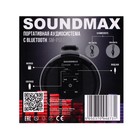 Портативная колонка Soundmax SM-PS5020B, 16Вт, 1500мАч, FM, BT, microSD, AUX, черная - фото 9226994
