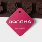 Форма для шоколада Доляна «Совы», силикон, 19×15 см, 12 ячеек (3.5×3.5×1.5 см), коричневая - Фото 7