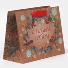 Пакет крафтовый горизонтальный «Новогоднее чудо», MS 23 × 18 × 10 см - Фото 2