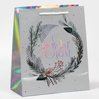 Пакет голографический «Верь в чудеса», ML 27 х 23 х 11.5 см - Фото 3