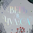 Пакет голографический «Верь в чудеса», ML 27 х 23 х 11.5 см - Фото 4