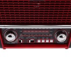 Радиоприемник Ritmix RPR-050 RED, функция MP3-плеера, фонарь, красный - фото 9587270