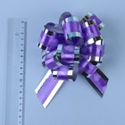 Бант-шар №3,2 "Воздушные сердца", цвет фиолетовом - Фото 2