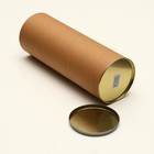 Тубус под бутылку, картон 120×340 мм (320 мм внутр. высота) - Фото 2