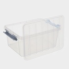 Контейнер для хранения с крышкой, 15 л, 41×29.5×18.3 см, пластик, прозрачный - Фото 5
