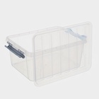 Контейнер для хранения с крышкой, 15 л, 41×29.5×18.3 см, пластик, прозрачный - Фото 6