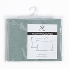 Комплект наволочек «Этель», 50×70 см, 2 шт., зелёный, бязь, хлопок 100% 9107849