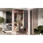 Прихожая «Лика 2», 1200×364×2150 мм, цвет дуб юкон/графит - Фото 3