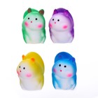 Мялка «Белка» с пастой, цвета МИКС - фото 47147214