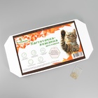 Когтеточка-лежанка «Пижон», 57×28.5×2.5 см, гофрокартон - Фото 3