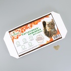 Когтеточка-лежанка «Пижон», 49×23×2.5 см, гофрокартон - Фото 4