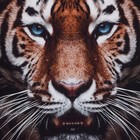 Набор подарочный Этель Strong, полотенце 70×146 см и аксессуары 7356710