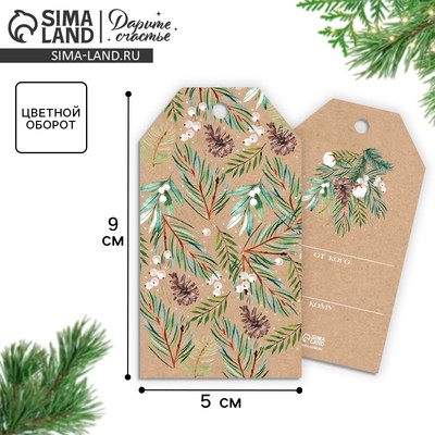 Открытка-шильдик новогодний на подарок «Шишечки», 5×9 см