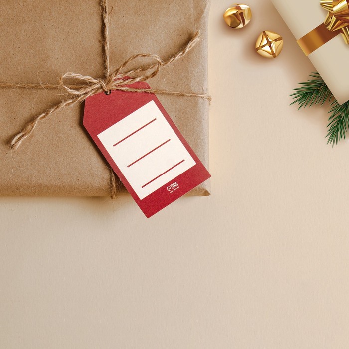Открытка-шильдик на подарок «Новогодний», 5 × 9 см 7752038